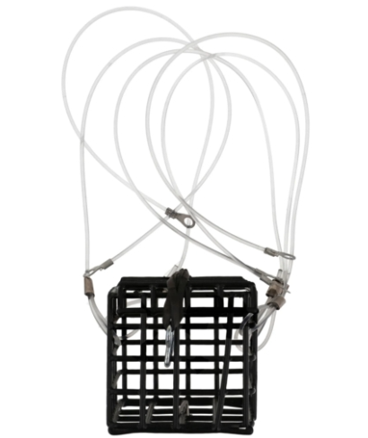 Eagle Claw Crab Snare