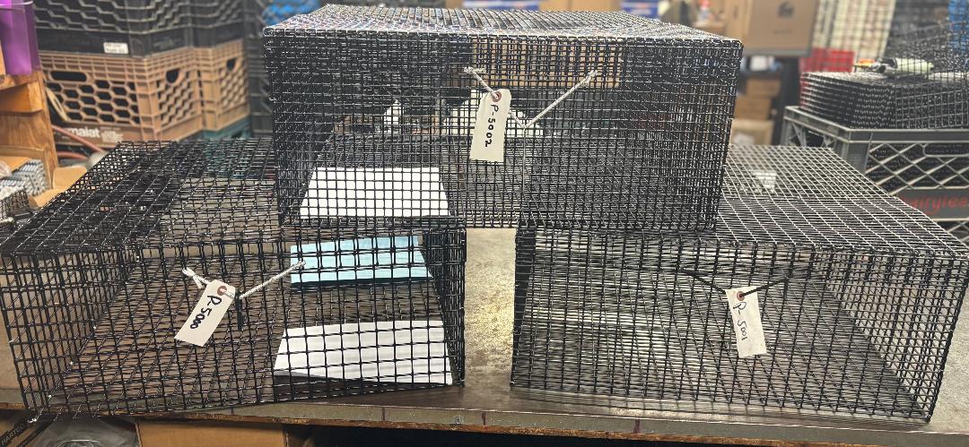 E-Z Catch P-5000 Holding Cages