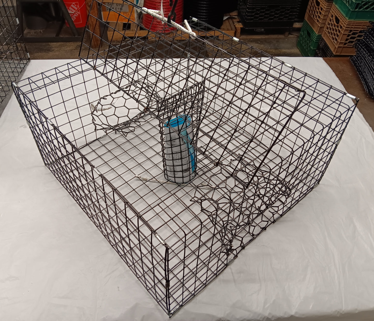 E-Z Catch # P-301-B Half Size Maryland Style Crab Pot ( 24 x 24 x 12 )