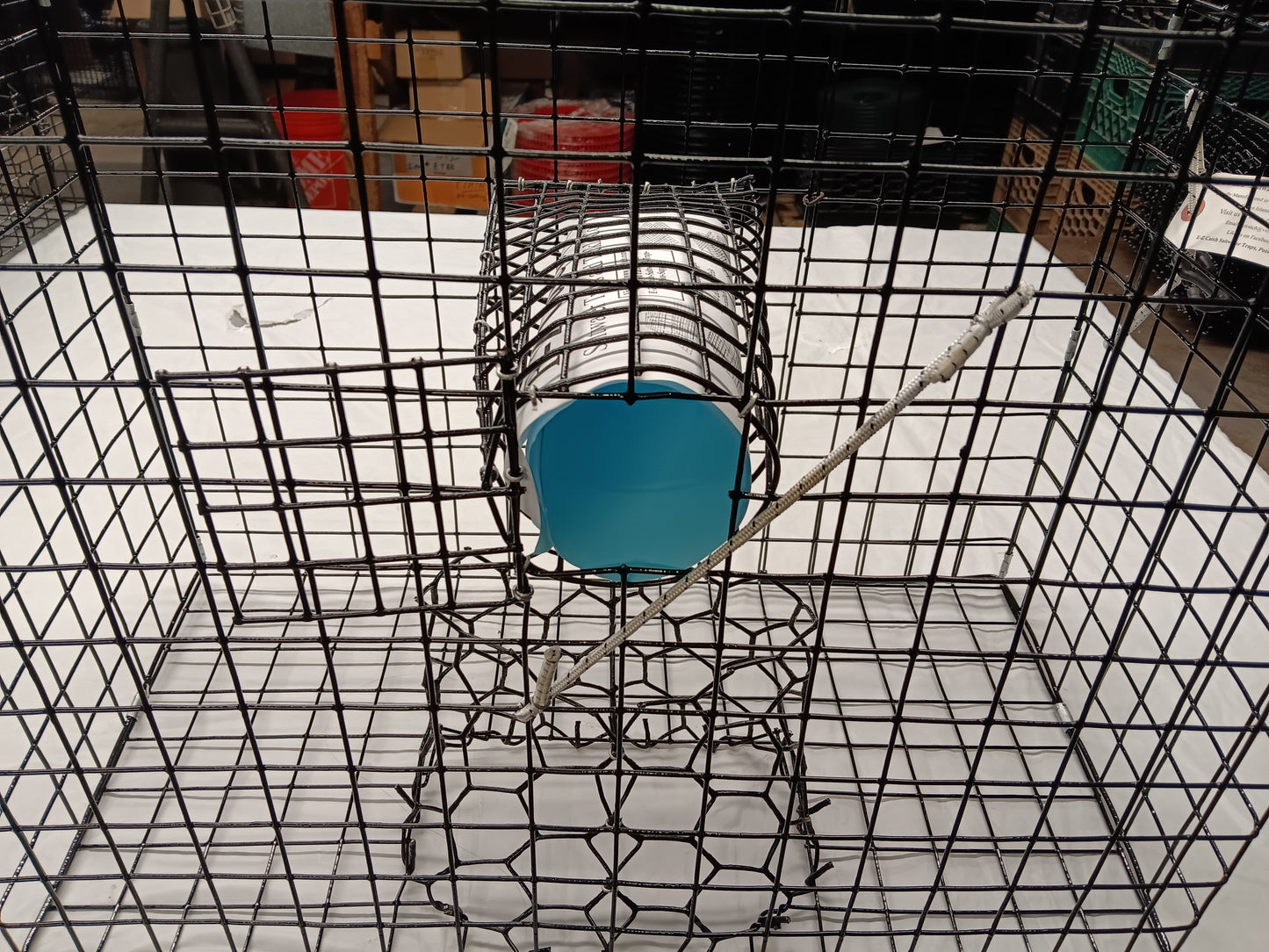 E-Z Catch # P-301-B Half Size Maryland Style Crab Pot ( 24 x 24 x 12 )