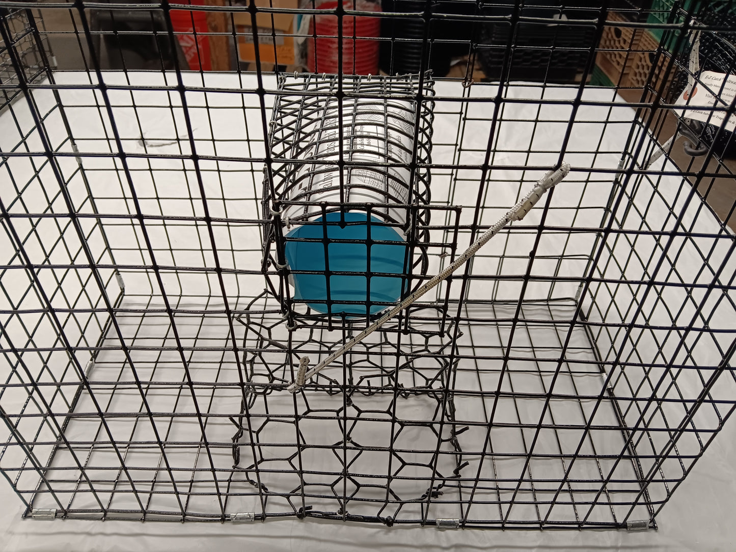 E-Z Catch # P-301-B Half Size Maryland Style Crab Pot ( 24 x 24 x 12 )