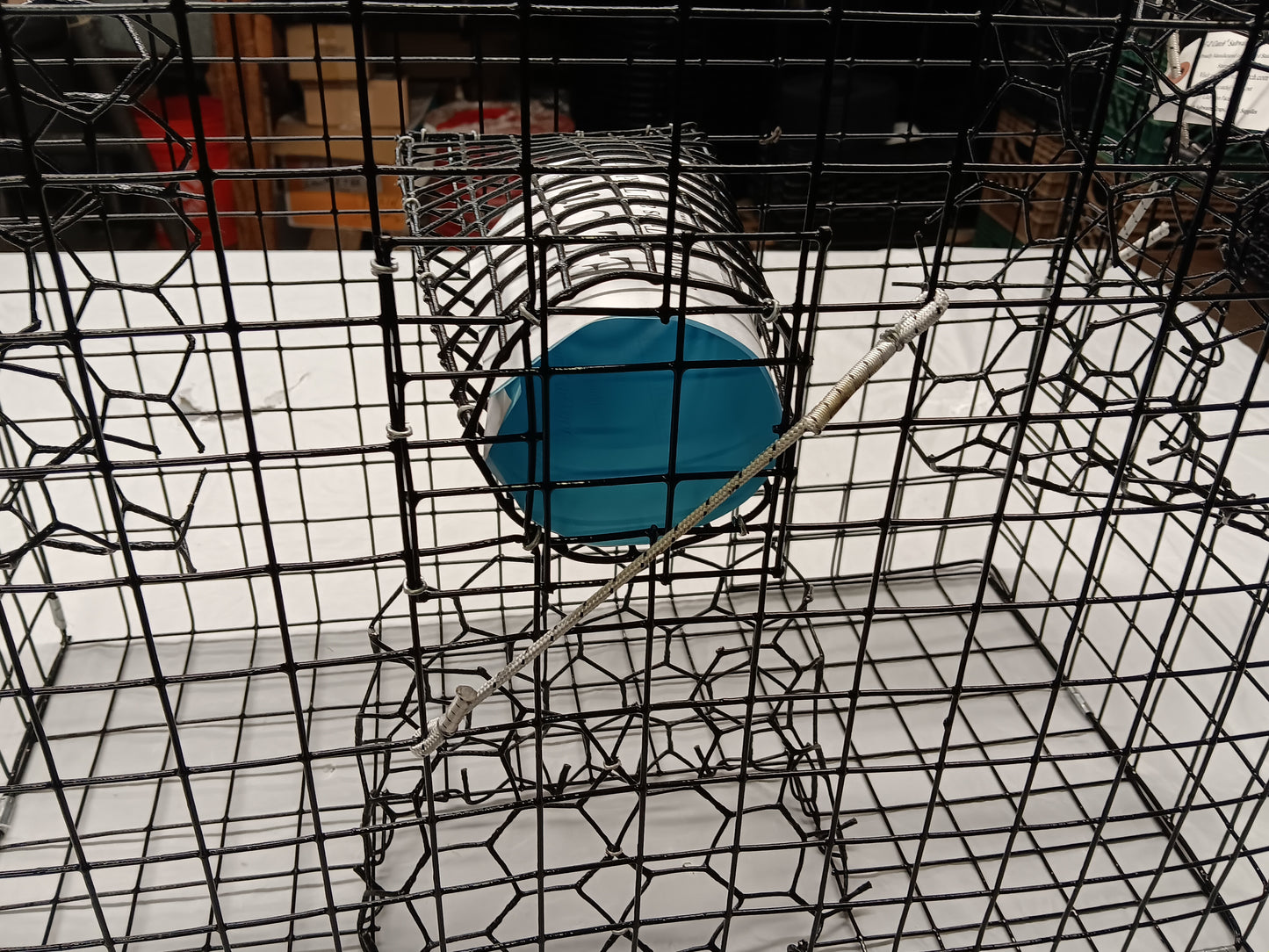 E-Z Catch # P-301-B-4F Half Size Maryland Style Crab Pot ( 24 x 24 x 12 )
