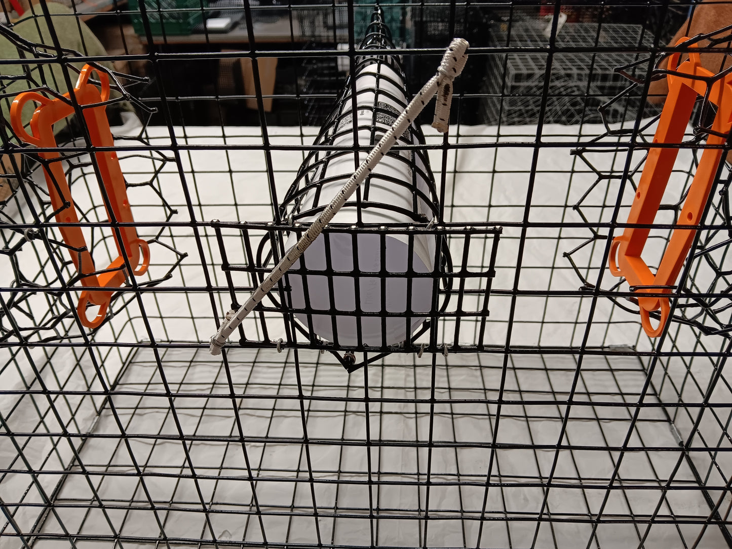E-Z Catch # P-301-B-STE Half Size Maryland Style Crab Pot ( 24 x 24 x 12 )