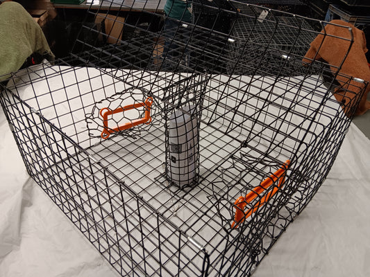 * PICK UP ONLY * E-Z Catch # P-301-B-LTE Half Size Maryland Style Crab Pot ( 24 x 24 x 12 )