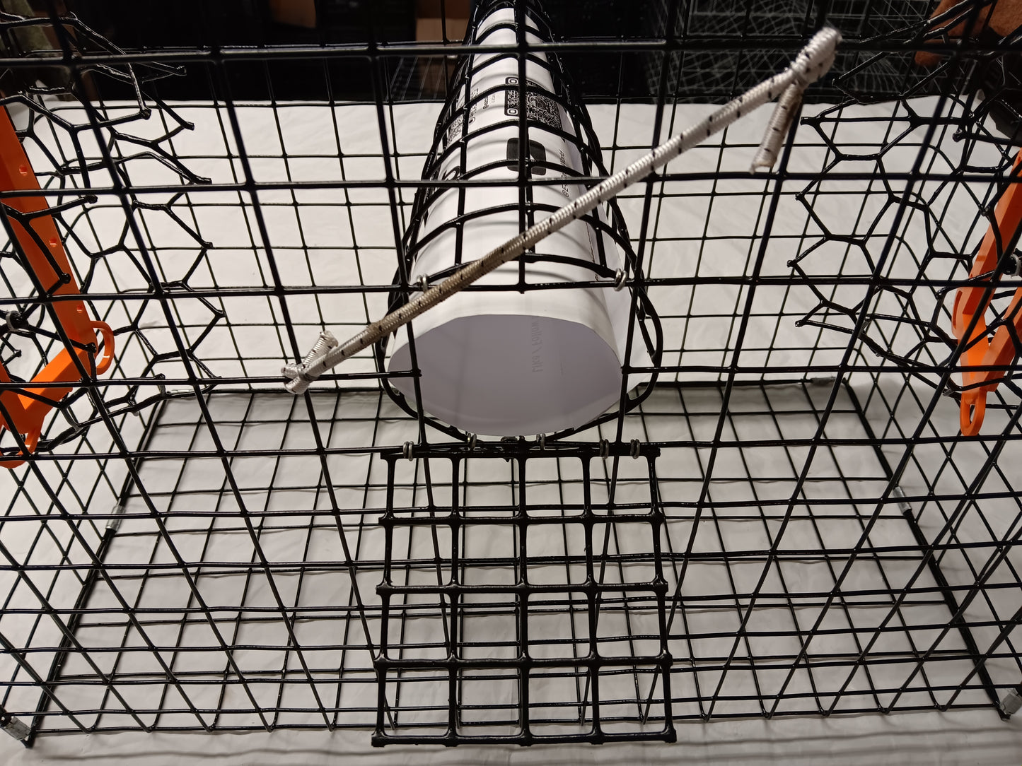 E-Z Catch # P-301-B-LTE Half Size Maryland Style Crab Pot ( 24 x 24 x 12 )