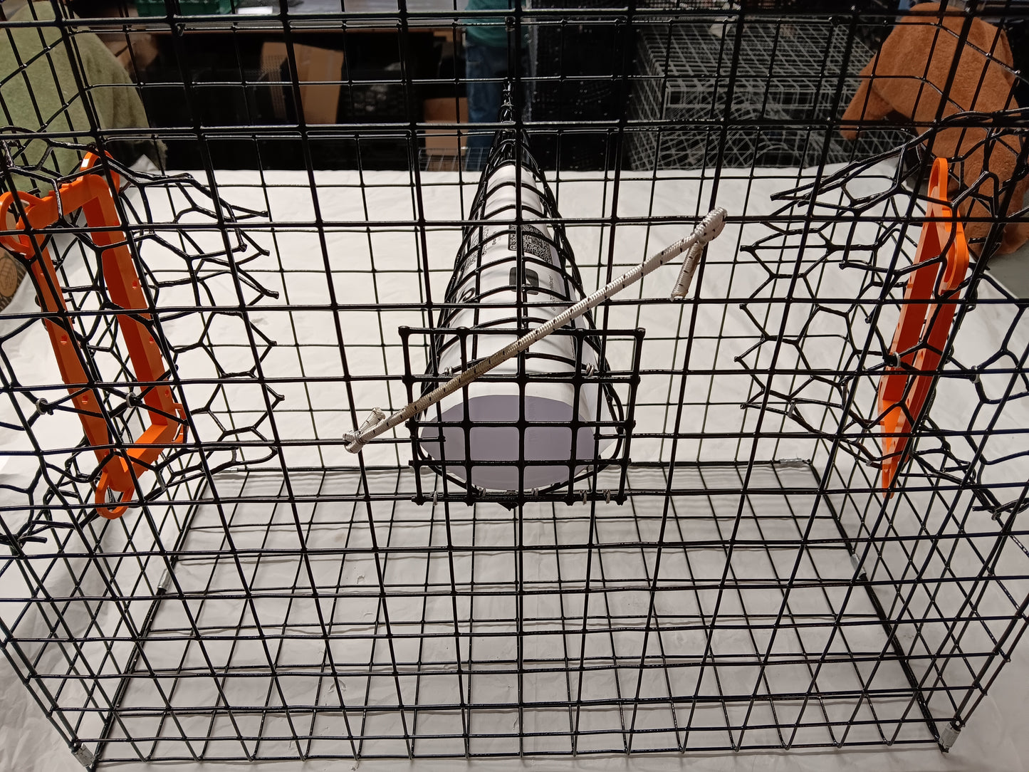 E-Z Catch # P-301-B-LTE Half Size Maryland Style Crab Pot ( 24 x 24 x 12 )