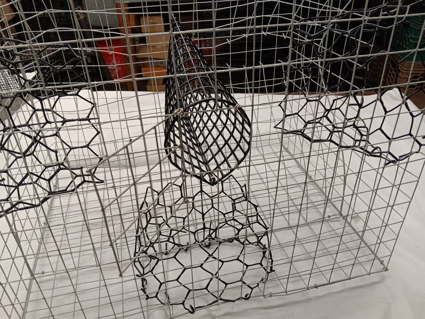 * PICK UP ONLY * E-Z Catch # G-302 ( Galvanized ) Full Size Maryland Style Crab Pots ( 24 x 24 x 18 )