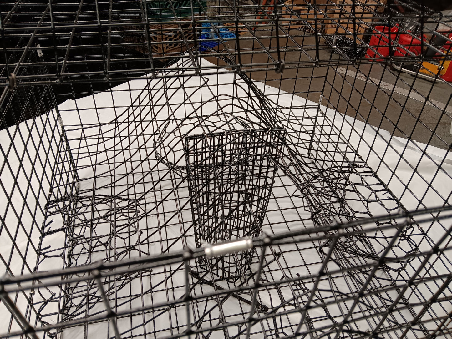 * PICK UP ONLY * E-Z Catch # P-302 Full Size Maryland Style Crab Pots ( 24 x 24 x 18 )
