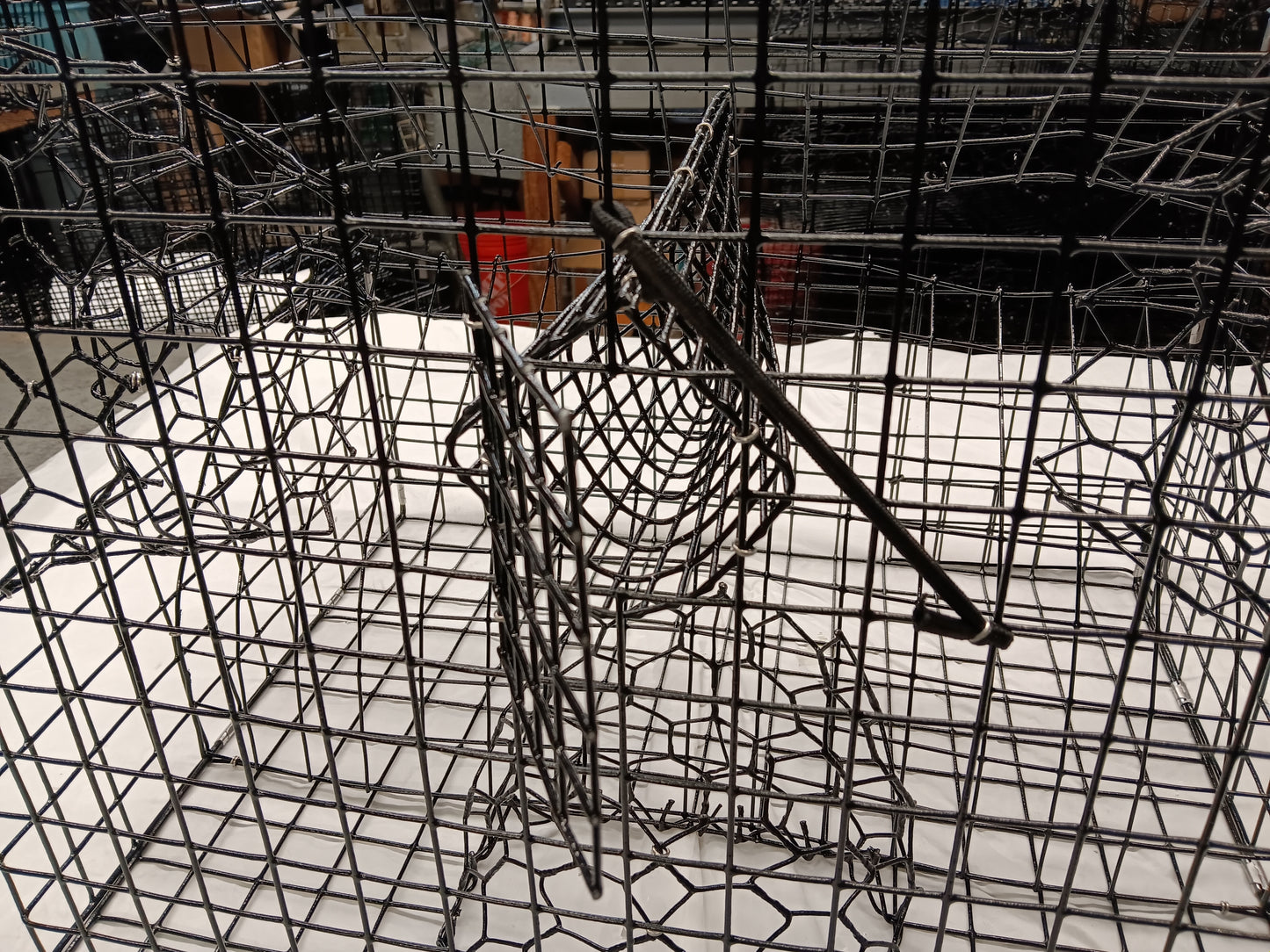 * PICK UP ONLY * E-Z Catch # P-302 Full Size Maryland Style Crab Pots ( 24 x 24 x 18 )