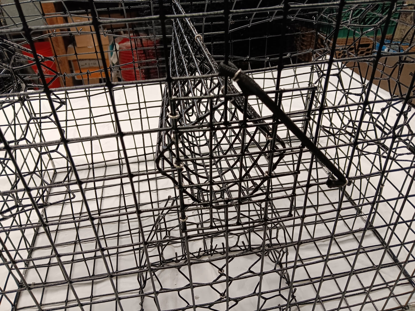 * PICK UP ONLY * E-Z Catch # P-302 Full Size Maryland Style Crab Pots ( 24 x 24 x 18 )