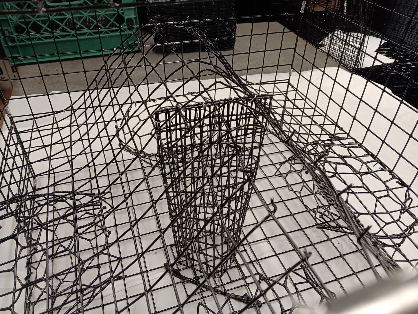 * PICK UP ONLY * E-Z Catch # P-302 Full Size Maryland Style Crab Pots ( 24 x 24 x 18 )