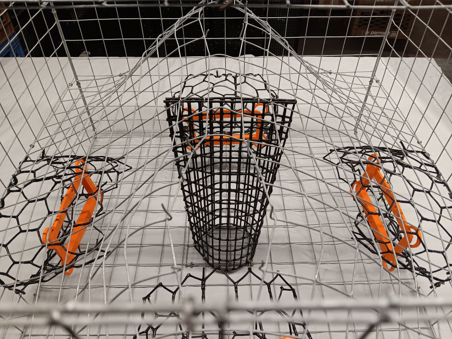 * PICK UP ONLY * E-Z Catch # G-302-STE ( Galvanized ) Full Size Maryland Style Crab Pots ( 24 x 24 x 18 )
