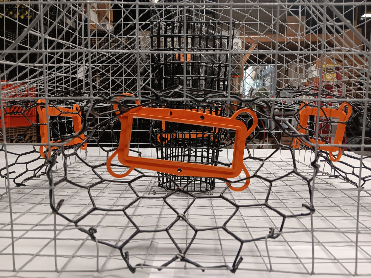 * PICK UP ONLY * E-Z Catch # G-302-STE ( Galvanized ) Full Size Maryland Style Crab Pots ( 24 x 24 x 18 )