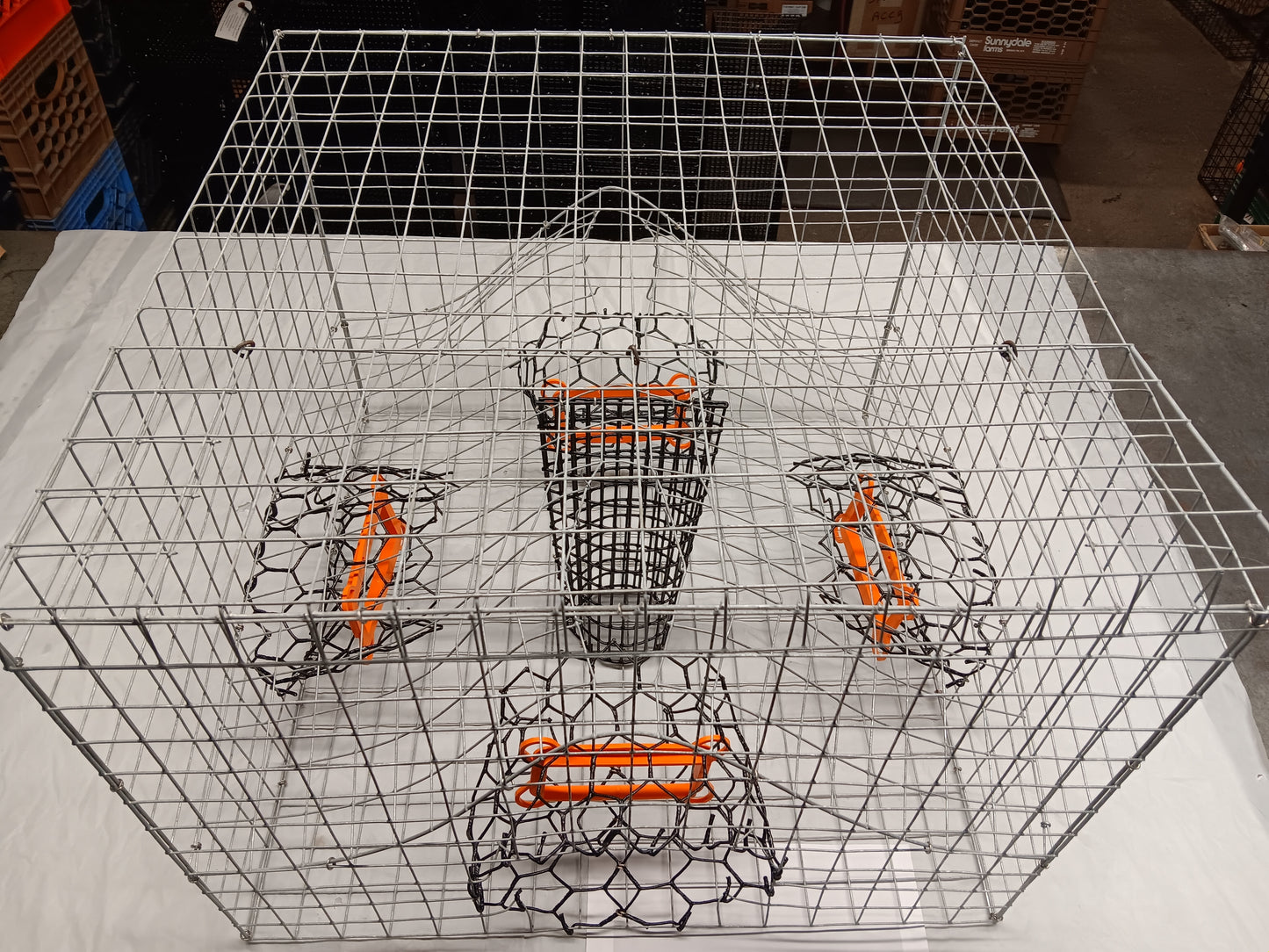 * PICK UP ONLY * E-Z Catch # G-302-STE ( Galvanized ) Full Size Maryland Style Crab Pots ( 24 x 24 x 18 )