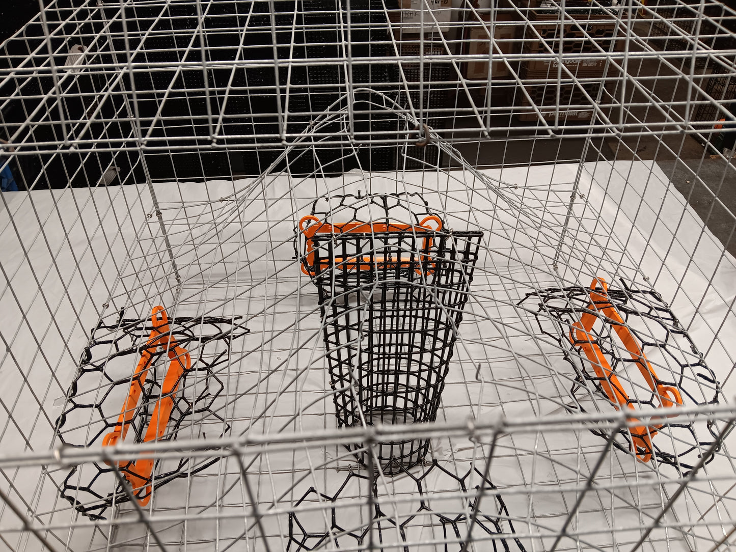 * PICK UP ONLY * E-Z Catch # G-302-LTE ( Galvanized ) Full Size Maryland Style Crab Pots ( 24 x 24 x 18 )