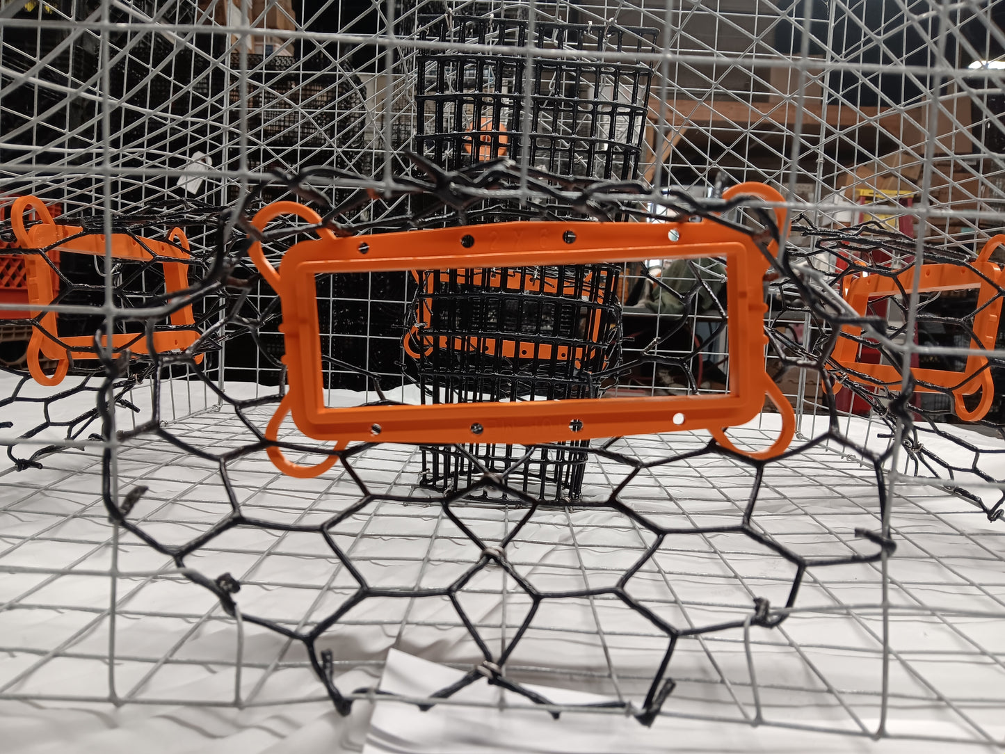 * PICK UP ONLY * E-Z Catch # G-302-LTE ( Galvanized ) Full Size Maryland Style Crab Pots ( 24 x 24 x 18 )