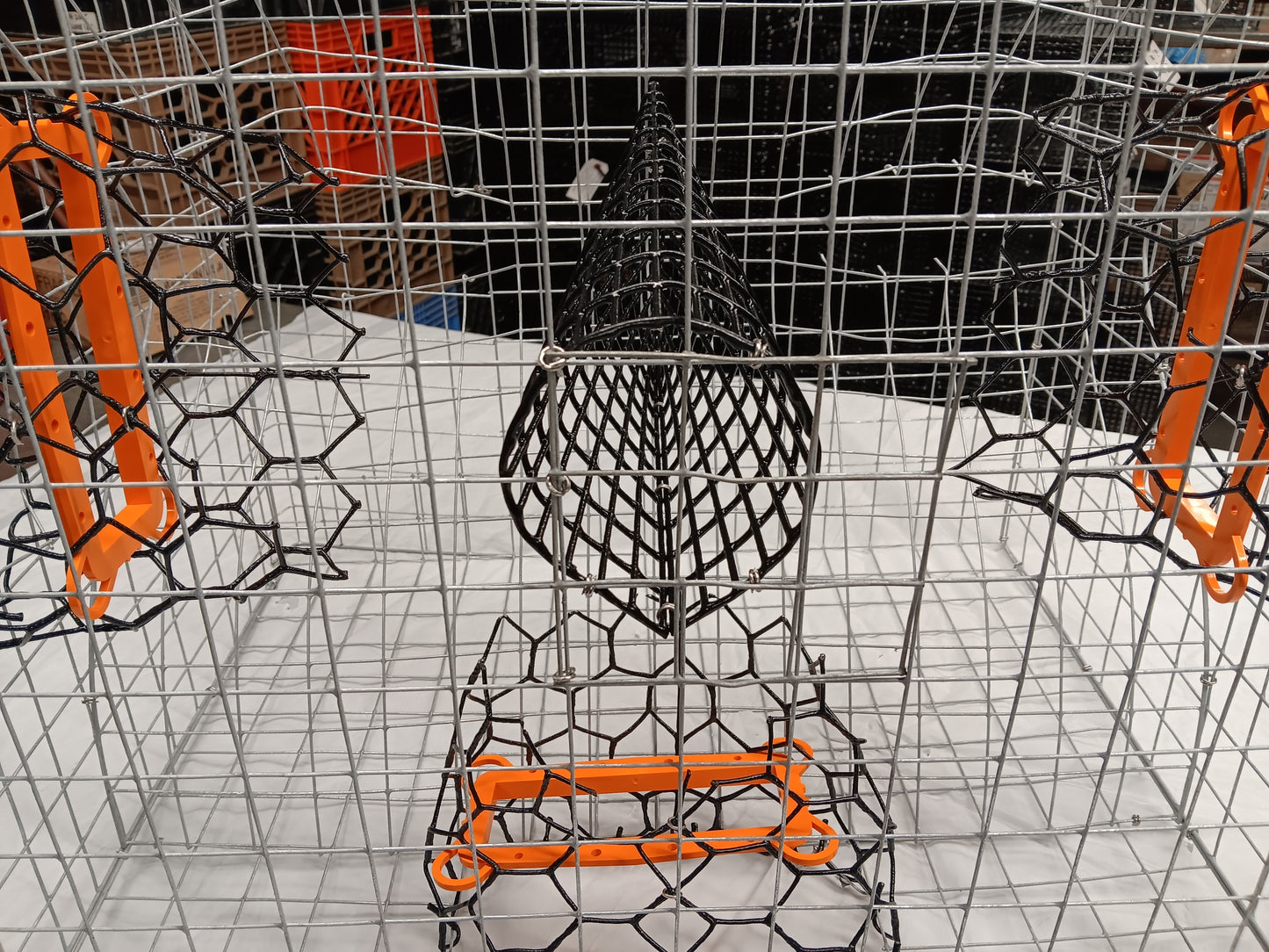 * PICK UP ONLY * E-Z Catch # G-302-LTE ( Galvanized ) Full Size Maryland Style Crab Pots ( 24 x 24 x 18 )