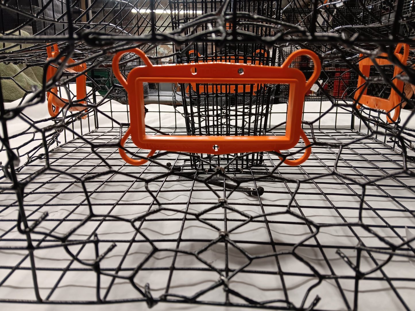* PICK UP ONLY * E-Z Catch # P-302-STE Full Size Maryland Style Crab Pots ( 24 x 24 x 18 )