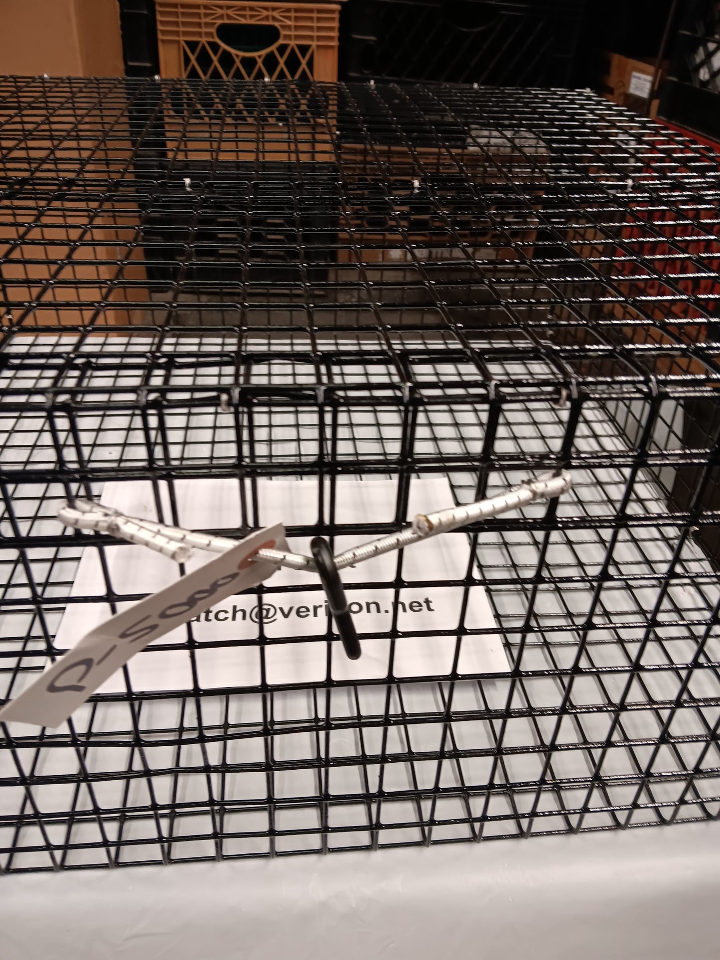 E-Z Catch # P-5000 Holding Cage ( PICK UP ONLY ) 24 X 24 X 10 ( 1 X 1 MESH )