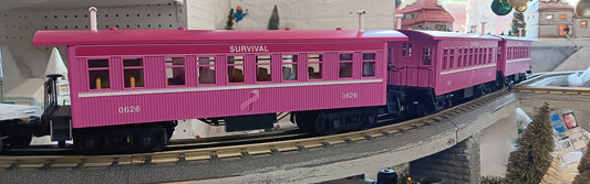 E-Z Catch Custom 30-6462 O Gauge RailKing Cancer Awareness 3-Car Overton Passenger Coach Set