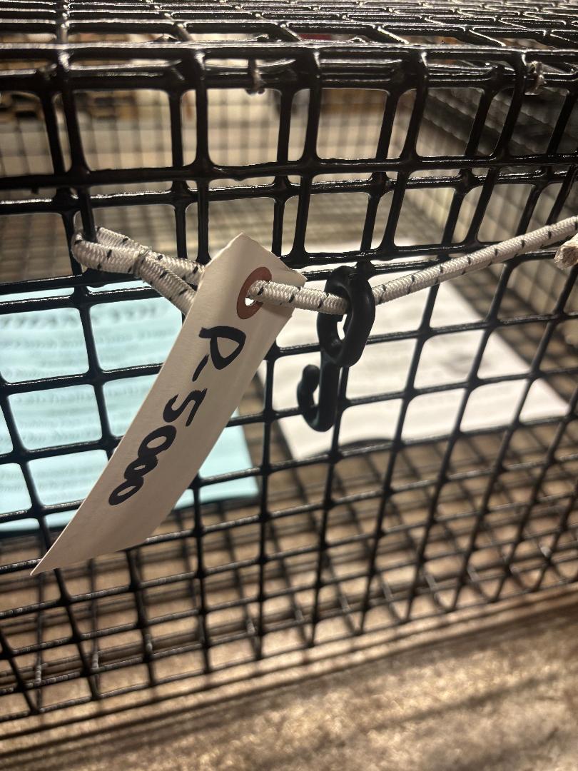 E-Z Catch # P-5000 Holding Cage ( PICK UP ONLY ) 24 X 24 X 10 ( 1 X 1 MESH )