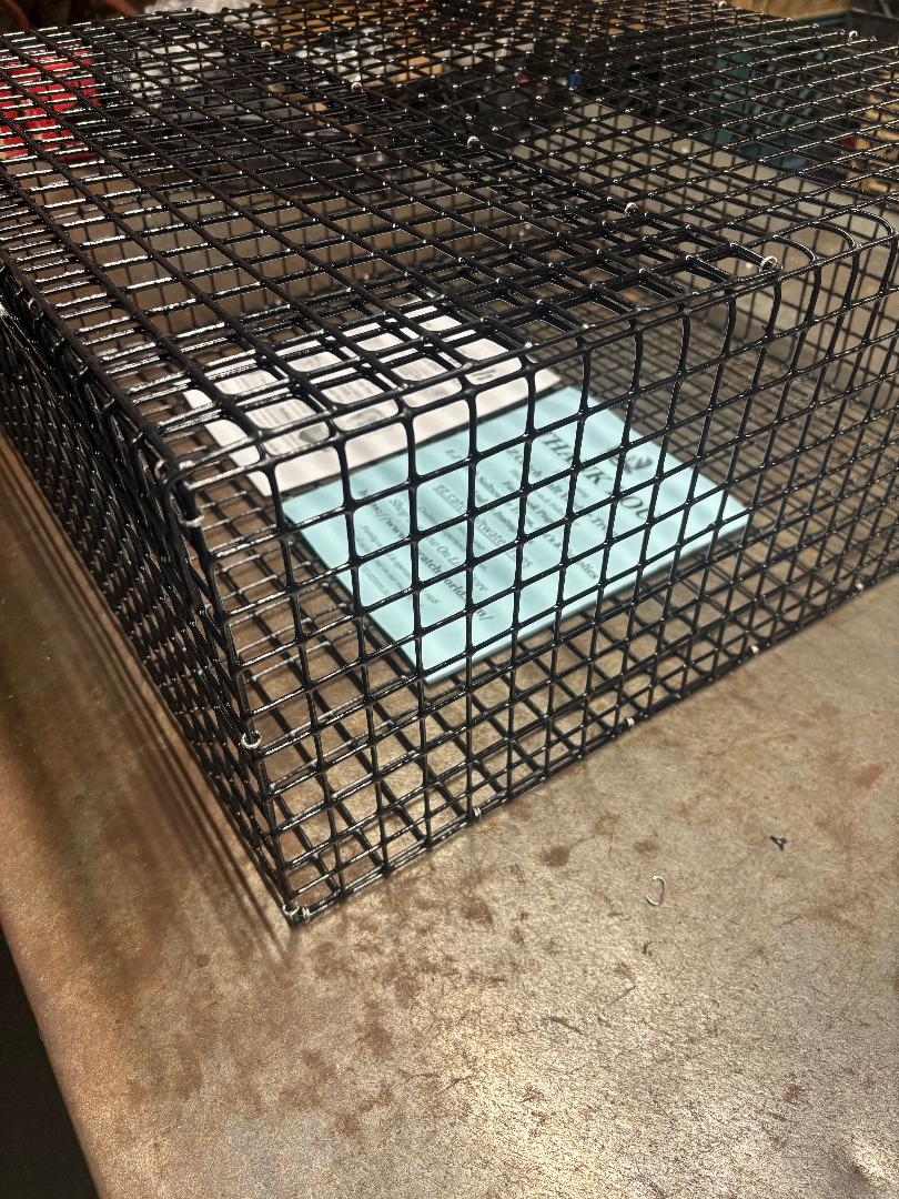 E-Z Catch # P-5000 Holding Cage ( PICK UP ONLY ) 24 X 24 X 10 ( 1 X 1 MESH )