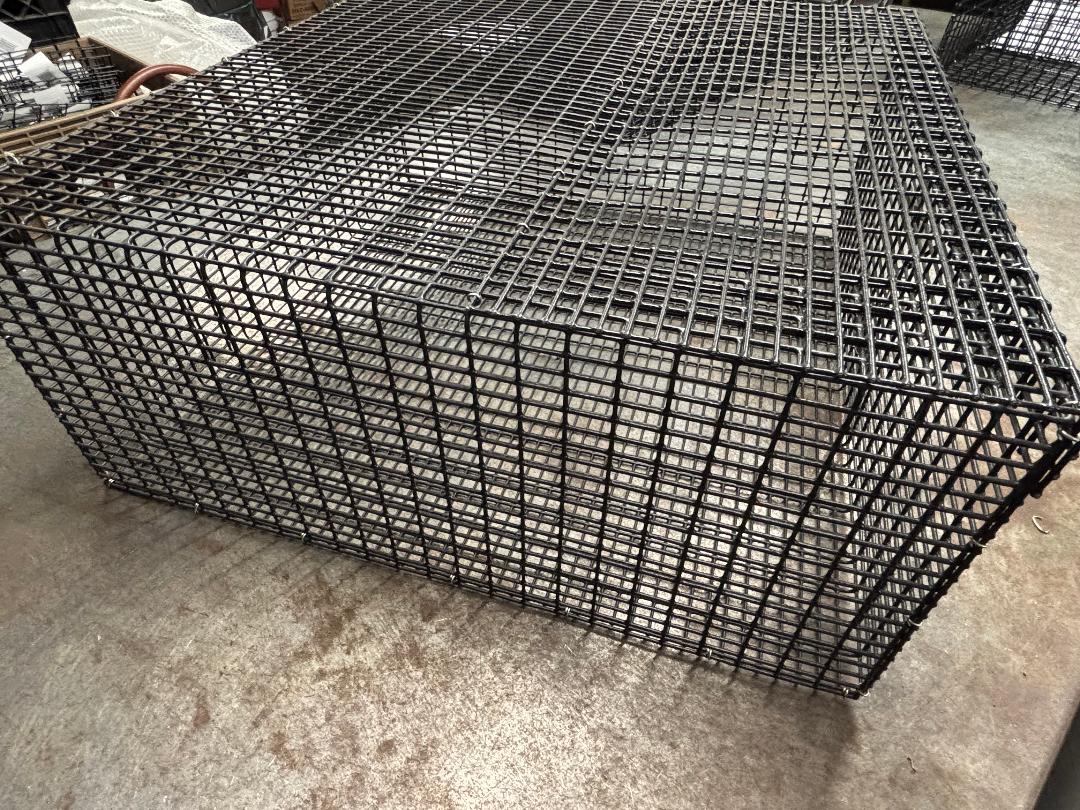 E-Z Catch # P-5001 Holding Cage ( PICK UP ONLY ) 24 X 24 X 10 ( 1/2 X 1 MESH )