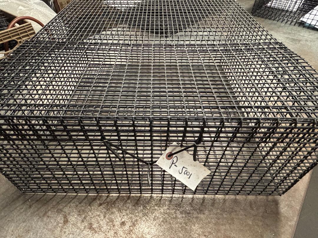 E-Z Catch # P-5001 Holding Cage ( PICK UP ONLY ) 24 X 24 X 10 ( 1/2 X 1 MESH )