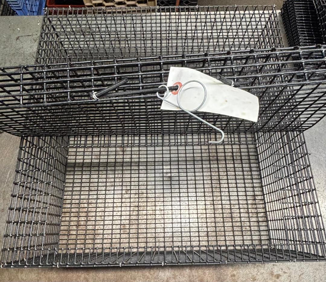 E-Z Catch # P-5001 Holding Cage ( PICK UP ONLY ) 24 X 24 X 10 ( 1/2 X 1 MESH )