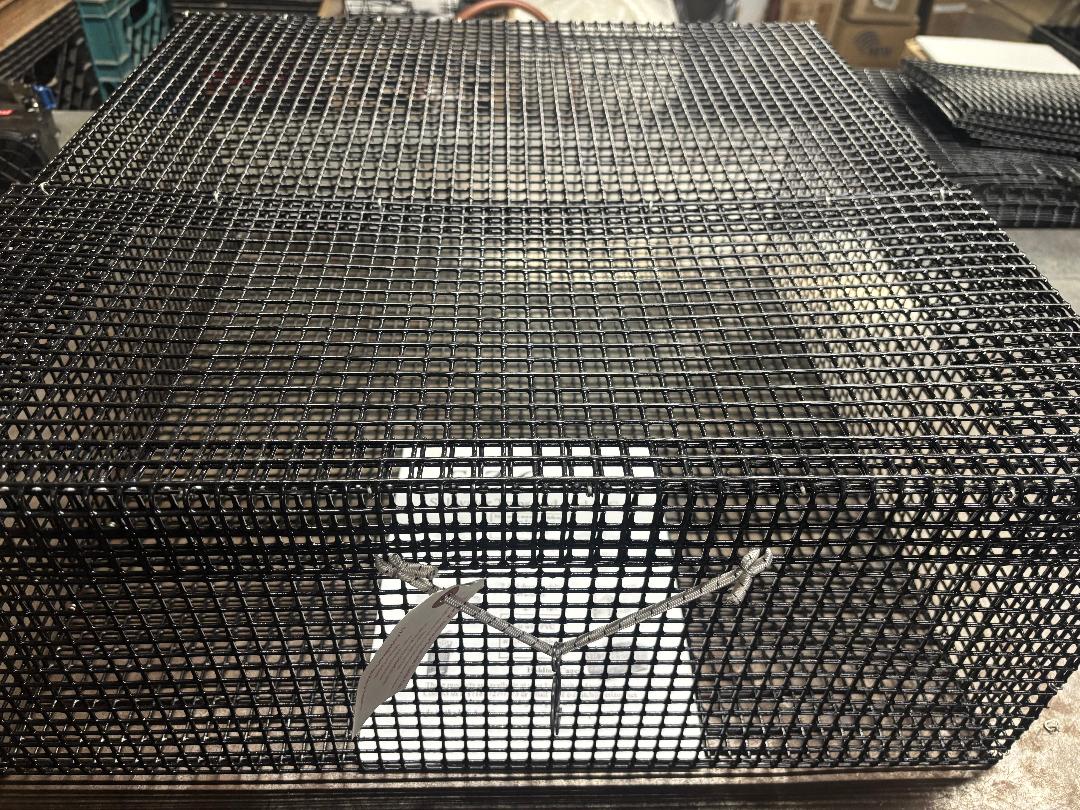 E-Z Catch # P-5002 Holding Cage ( Pick Up Only ) 24 x 24 x 10 ( 1/2 x 1/2 mesh )