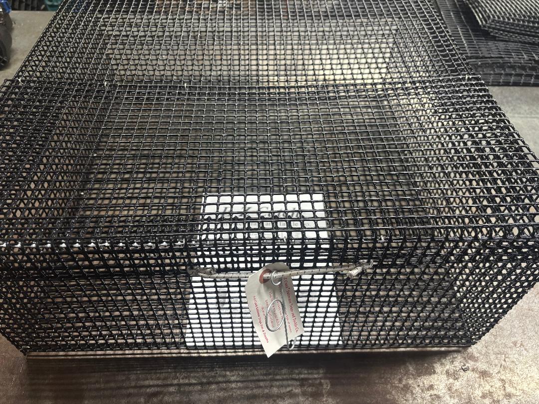 E-Z Catch # P-5002 Holding Cage ( Pick Up Only ) 24 x 24 x 10 ( 1/2 x 1/2 mesh )
