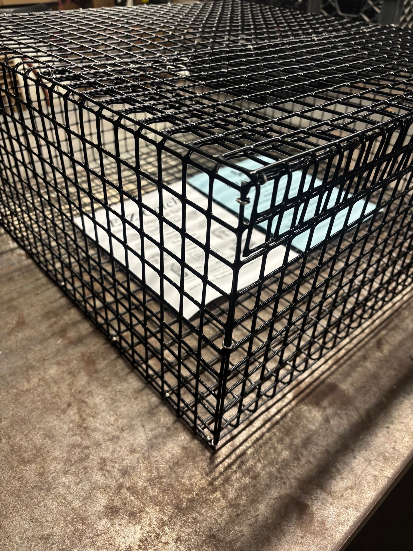 E-Z Catch # P-5000 Holding Cage ( PICK UP ONLY ) 24 X 24 X 10 ( 1 X 1 MESH )