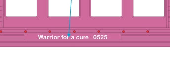 ( ETA November 2025 ) Cancer Awareness 60’ Streamlined Passenger w/ Red LED’s -Full Dome Vista (30-68297